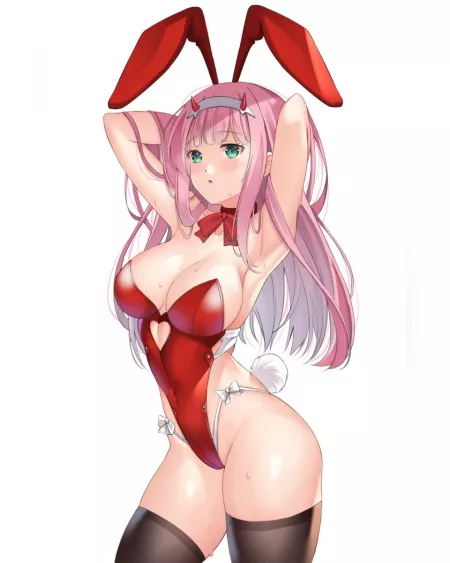 The real bunny by [deleted]