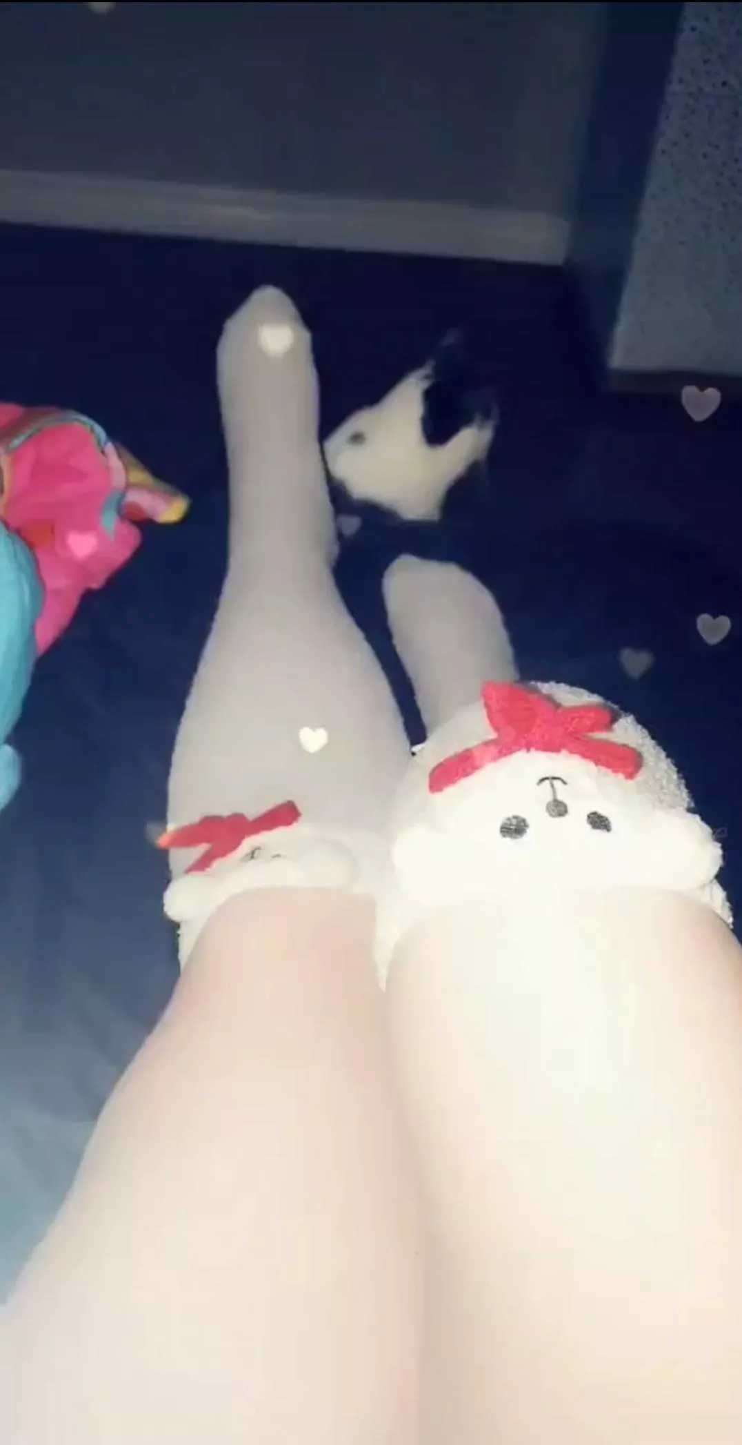 The red bows on my bear sockies make me feel extra cute🐻‍❄️💕 posted by foxxcii