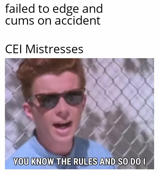 The rules posted by FutaLover23