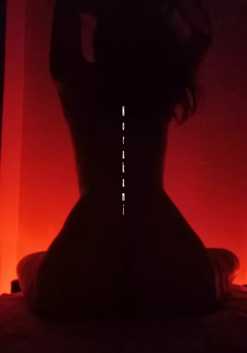 The Silhouette by n0rakami