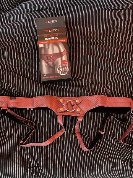 The strap she used on me last night. She’s my “countess” 😏😋 by cucked_by_bff