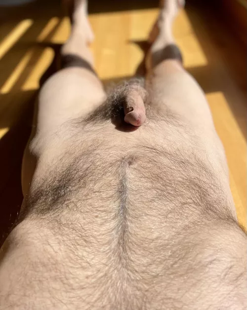 The sun always makes things better... 🌞 by Thistlemaker2