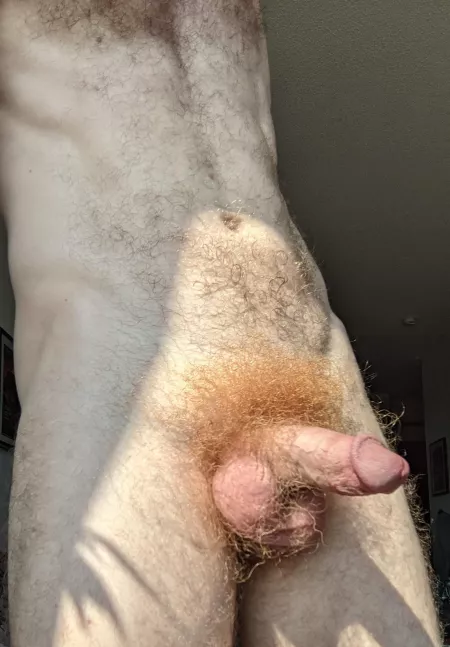 🔥The sun really brings out the ginger in my pubes by SernameLreadyAken