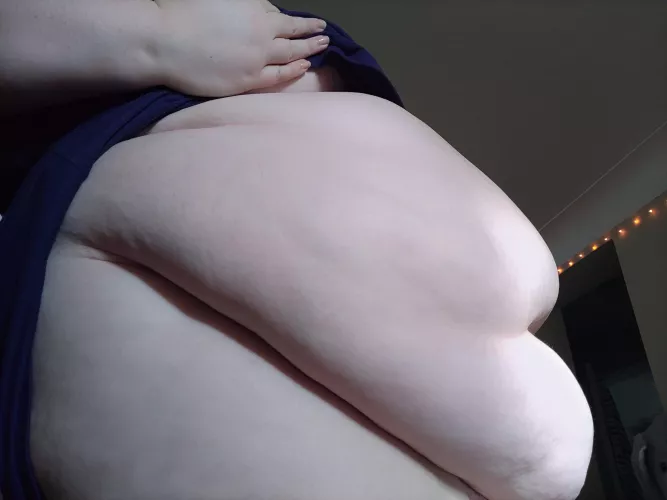 The sunshine warms my warm soft tummy. Cannot wait to stuff my face today. by BigBunnyXoX