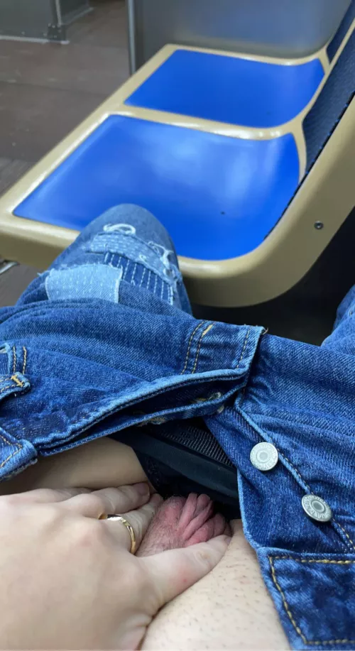 the train isn’t the only thing here for public use by allie-kazam