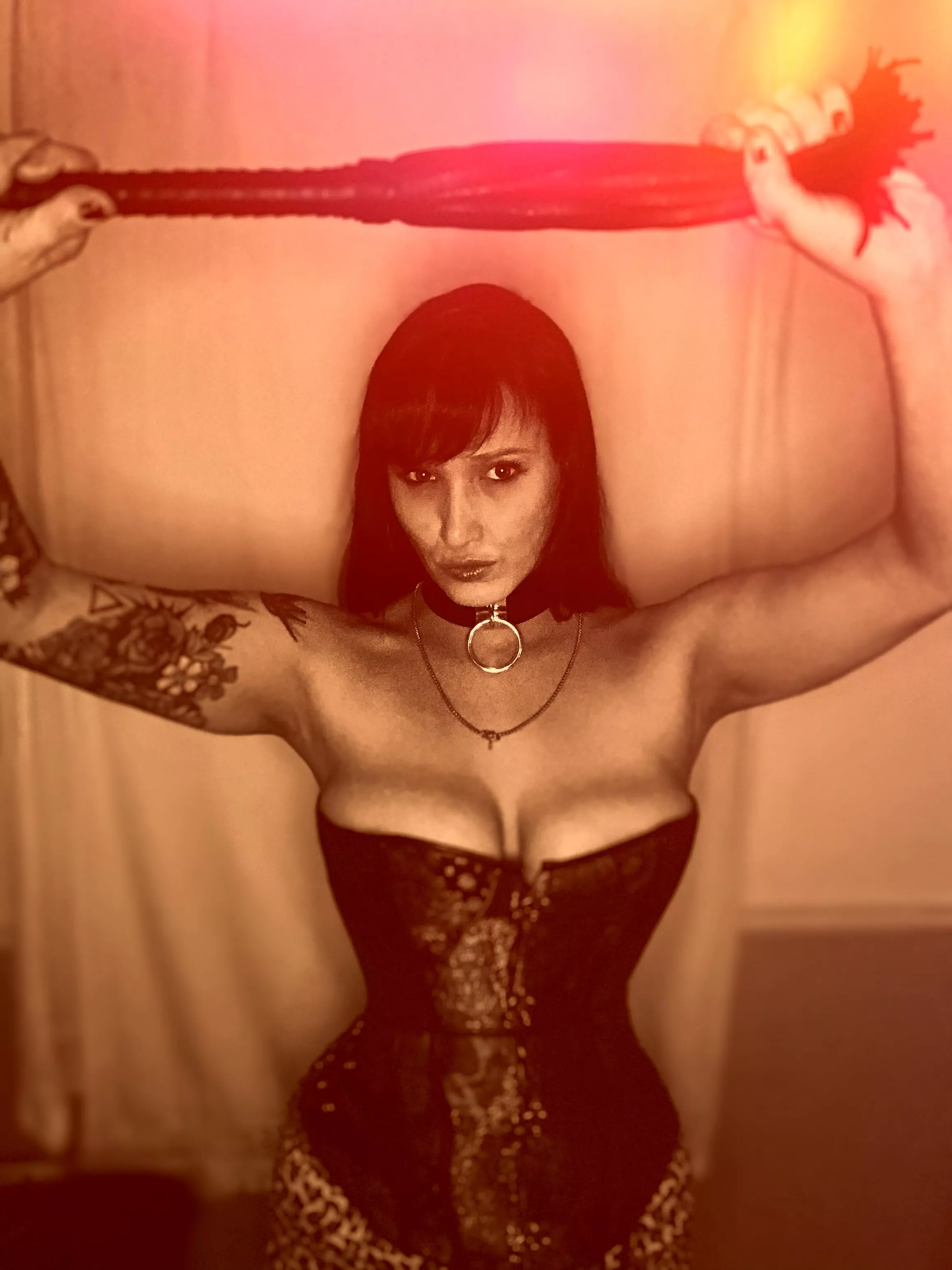 The universe is conspiring to bring me happiness posted by MadamRabbitx