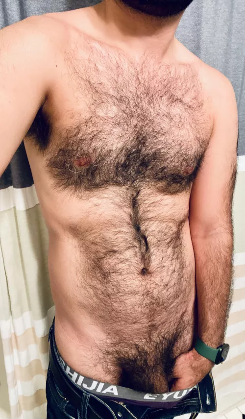 The white hairs in the fur are increasing. by Fast-Recording2232