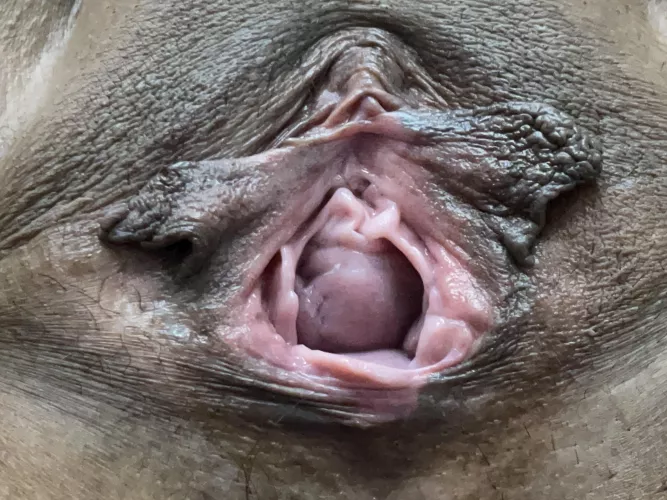 The wifey told me she loved being a Slut for me! Her cunt definitely has very High Milage but I want her to keep rolling the dail and blow her cunt completely open! What do you say ⬆️ if you would like to help out and put some more miles on the wifey by Maleficent-Fennel297