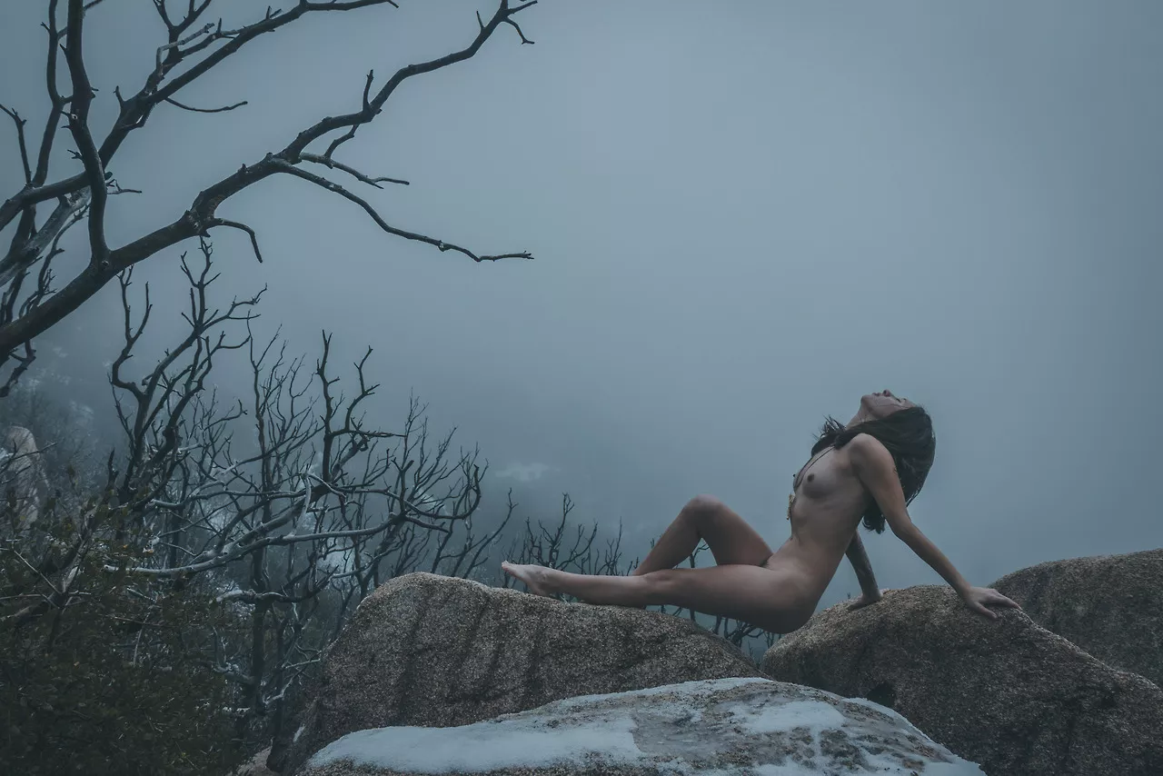 The Wintry Wastes posted by spatterday