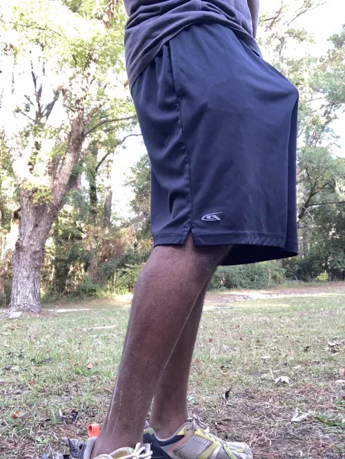 The wood by sneuxfawx