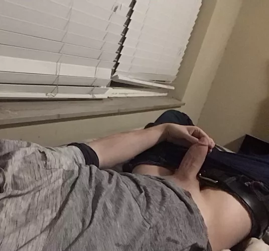 There are 17 species of hedgehog by hruturthrowaway