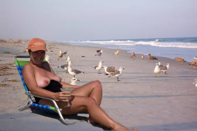 There nothing here but seagulls by bobettebobqc