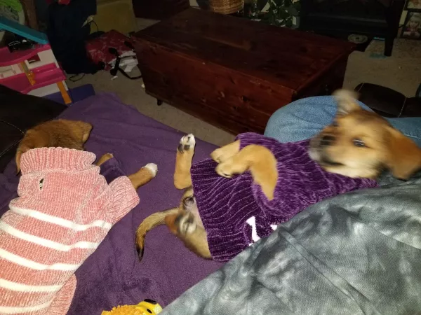 There's a little room to grow into.. by hipcatcoolcap