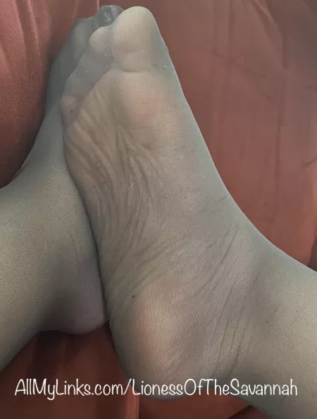 There’s nothing sexier than a hot girl wearing nylons 😉 by Savannahs_Feet