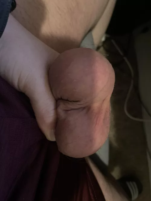 These are heavy, someone hold them with your mouth. by Tiny_Rhubarb34