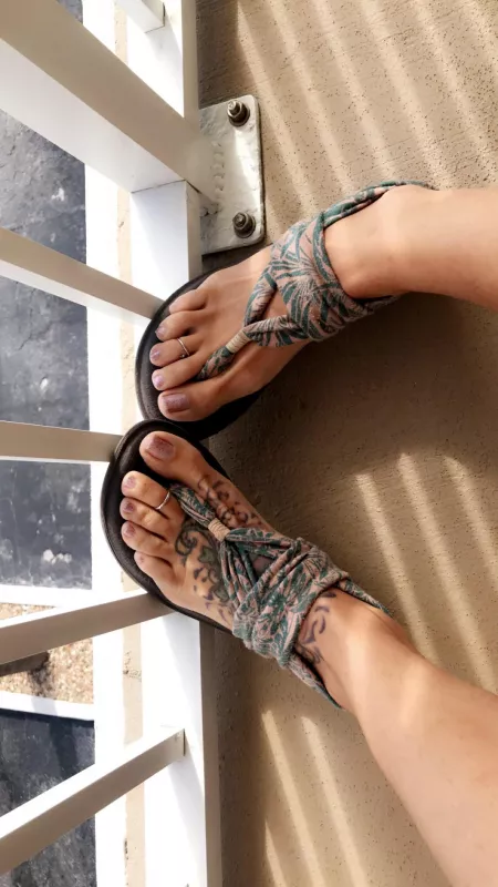 These babies looking for a new Daddy! 💋 Don’t you wanna be mine! DM ~wide open 😉 by [deleted]