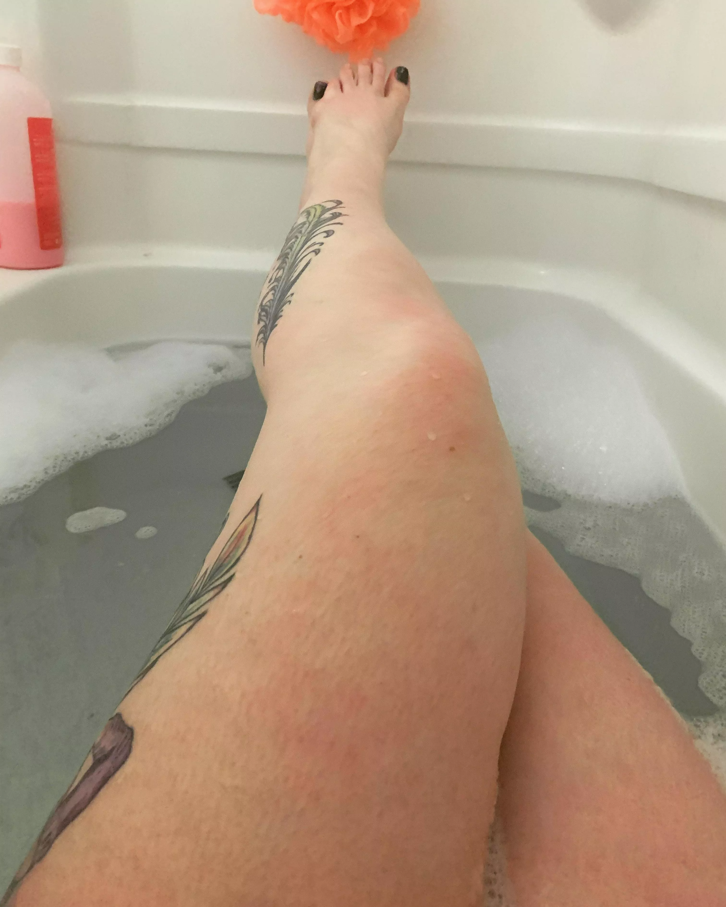 These ballerina legs have incredible strength posted by Diligent_Heron_3486