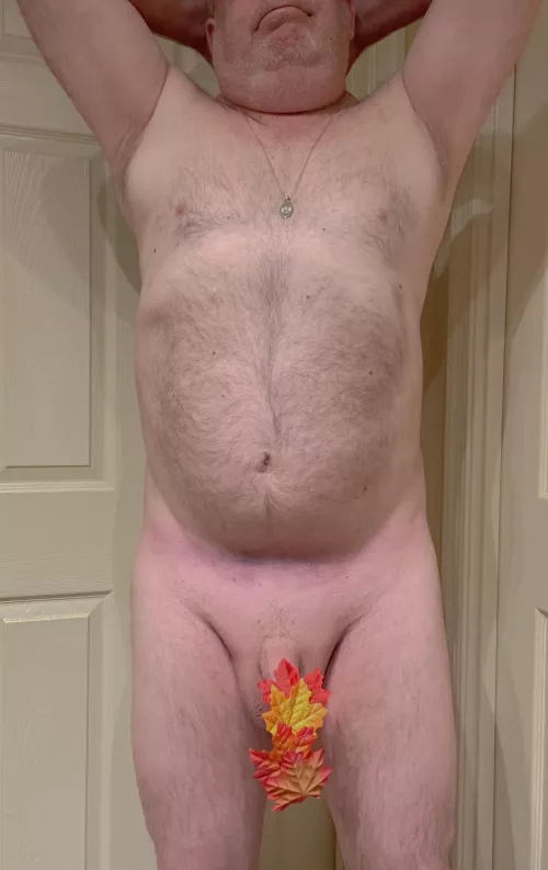 These Damn Things Get Everywhere This Time Of Year - Anyone Know A Good Leaf Blower?🍁😁🍁 by hit2muchwlifes2x4