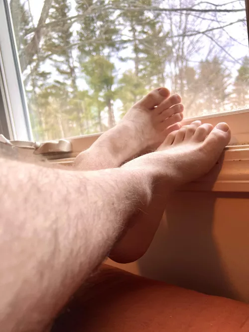 These need to be worshiped by Soft_Mushroom