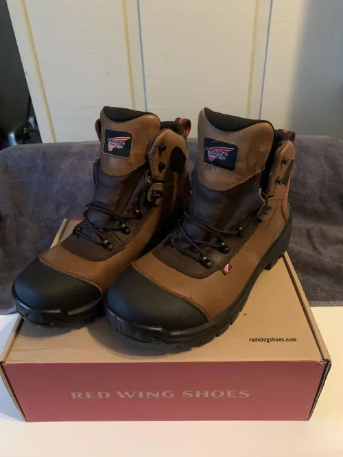 These Red Wings are 10/10. by goatroach