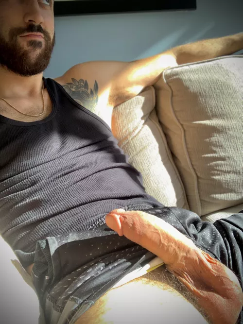 These shorts can’t contain my cock. Can you? by titty_committee1