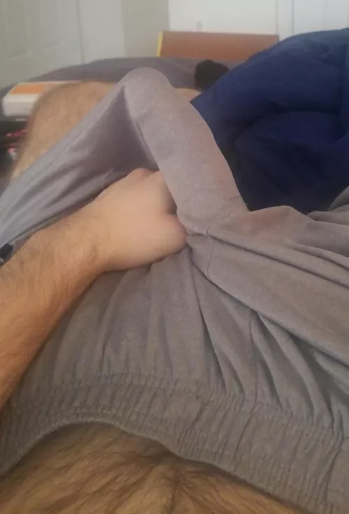 These shorts don't hide it much by ApollosOtter