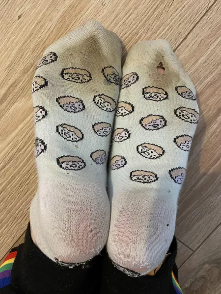 These socks have been well and truly used and abused, Love Mia x by Ok_Examination_26