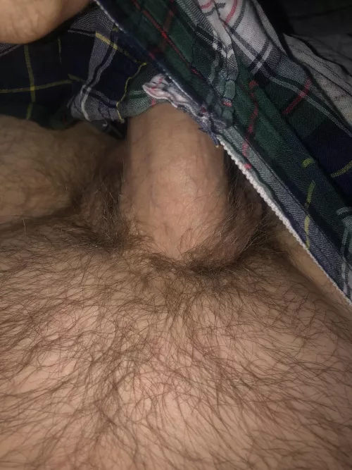 They are coming back by goldxsoul