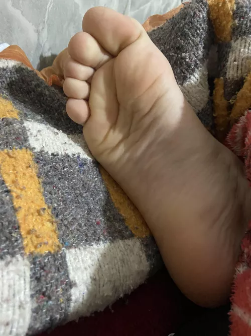 they are hiding, come find ‘em n u can do whatever u want 😏👅 dms/pms r welcome by pessbeach