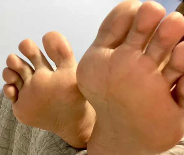 They could use a massage after a long day [OC] by jx0122