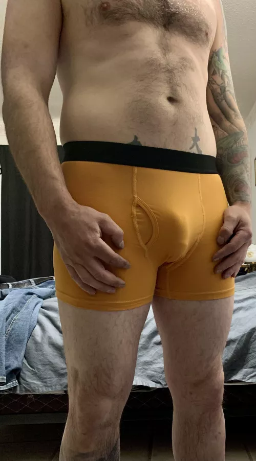 They fit great. by cu103