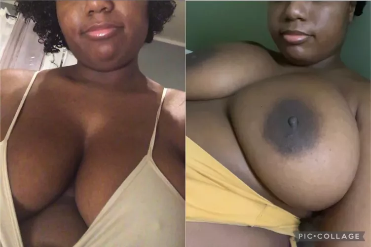 They love to hide by Kabanameow