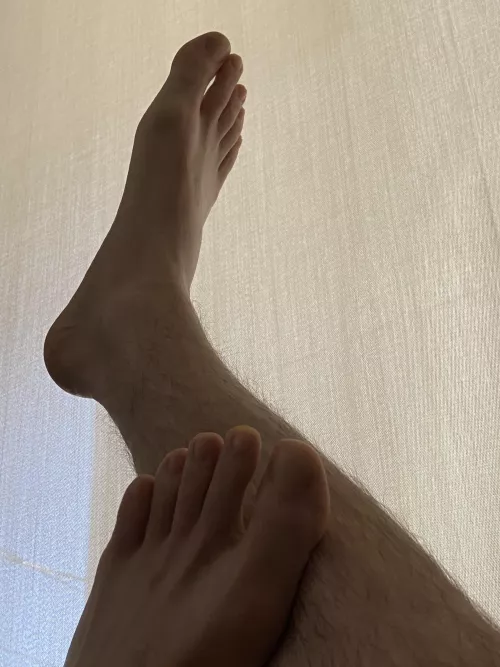 They need worshipping by nashguy4488