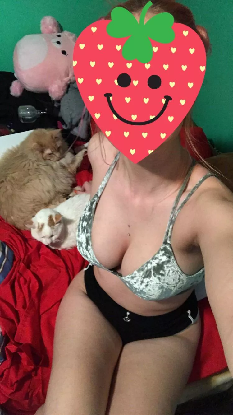 They wanted to be included posted by tittyl