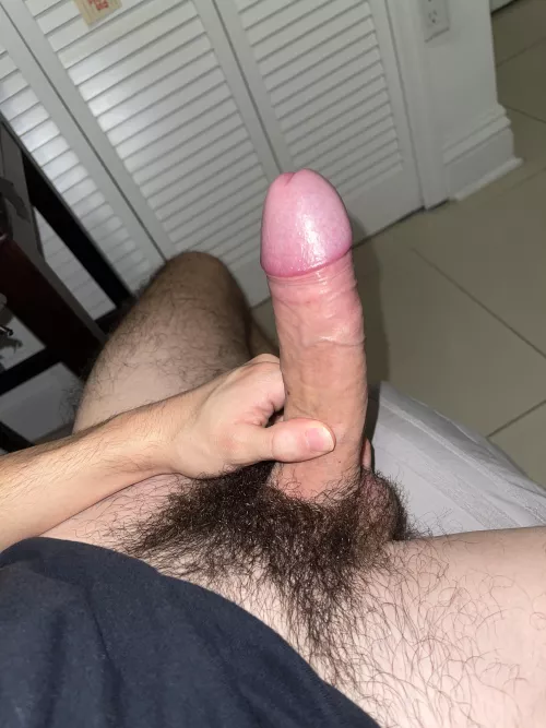 *They won’t notice They won’t Notice They won’t notice* by AverageGuyAround