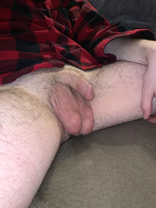 They’re not trying to escape, that’s just how they hang by fruitsofmyloom