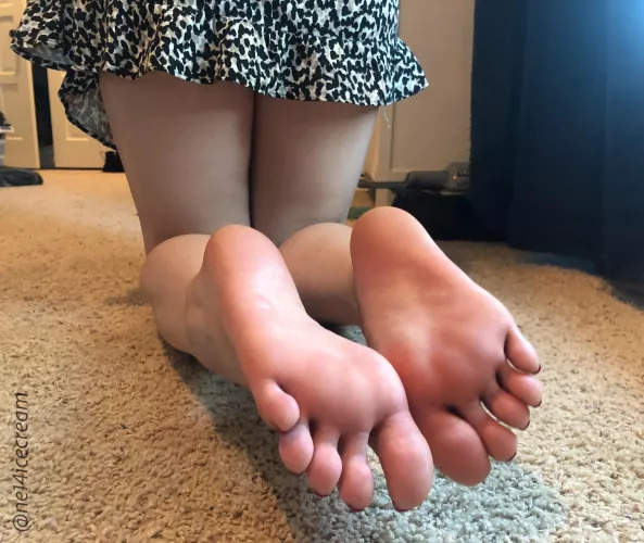 They’re ready for you to do what you want with them by ne14icecream