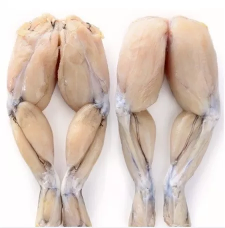 Thic frog legs by nowayits