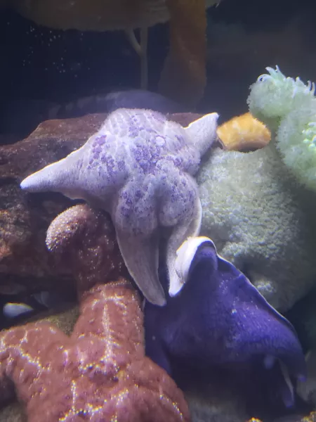 Thicc 😤 by DonutWhole9717