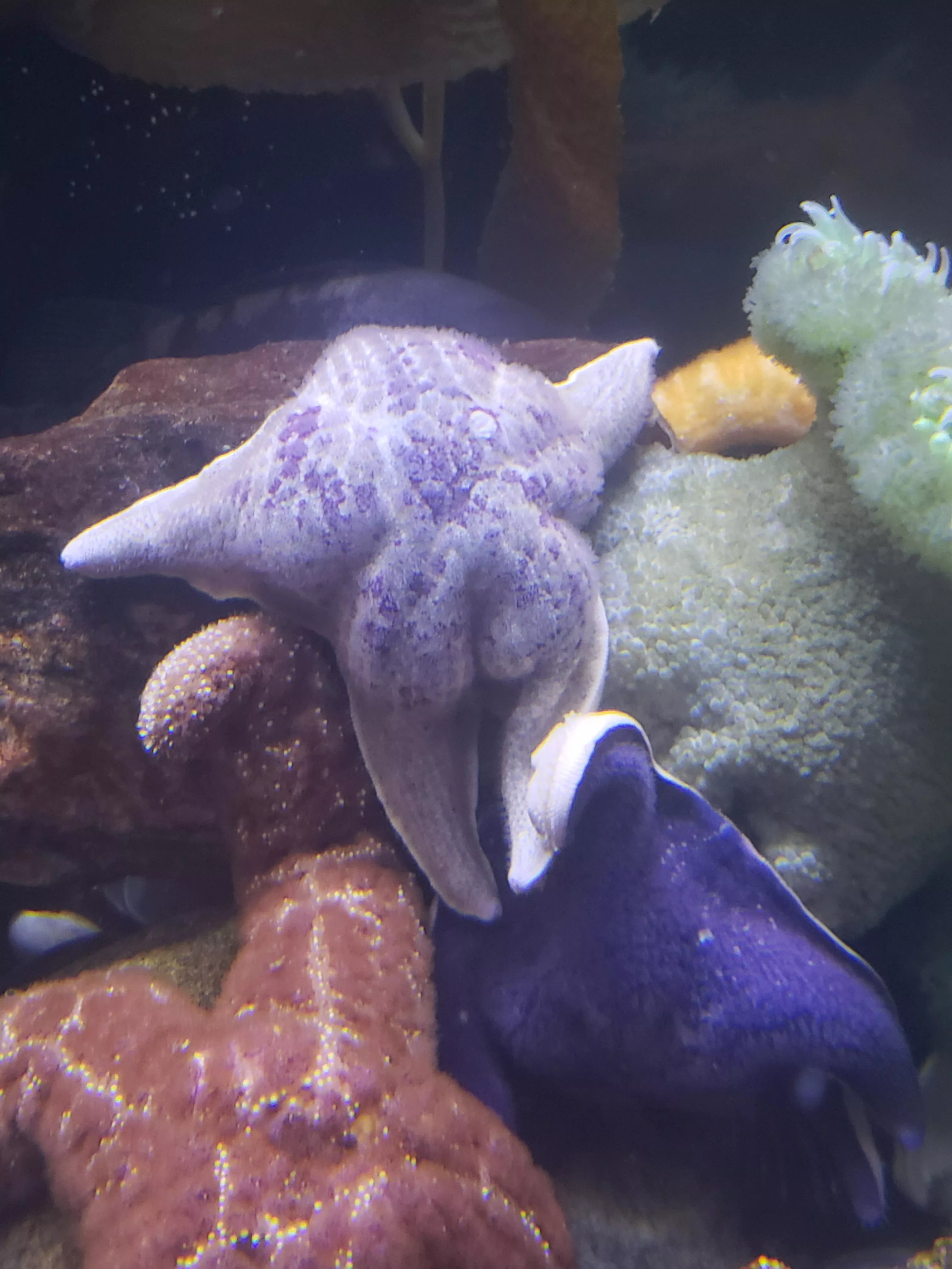 Thicc 😤 posted by DonutWhole9717