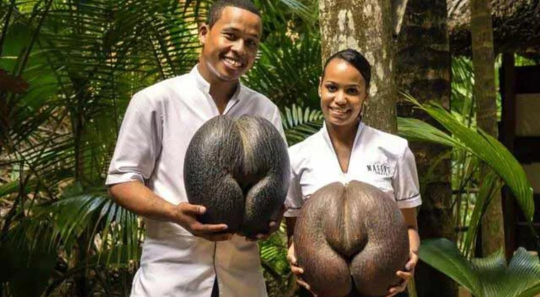 Thicc posted by TamponLickingWitch