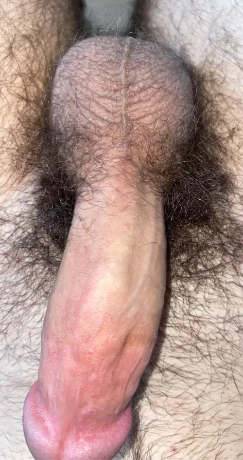 thick 18 y/o bush by nnweir