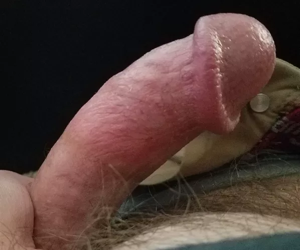 Thick [40] Italian by sdel23