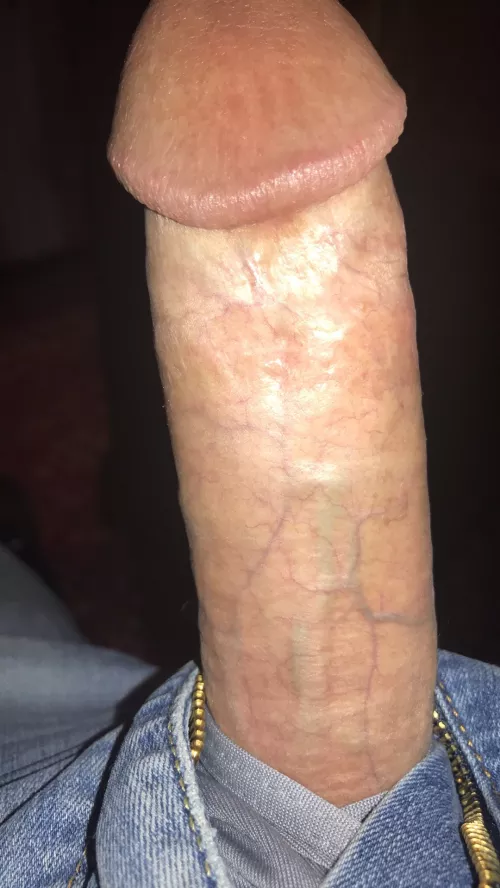 Thick Bull with a perfect proportioned cock by THICKRYAN8x6