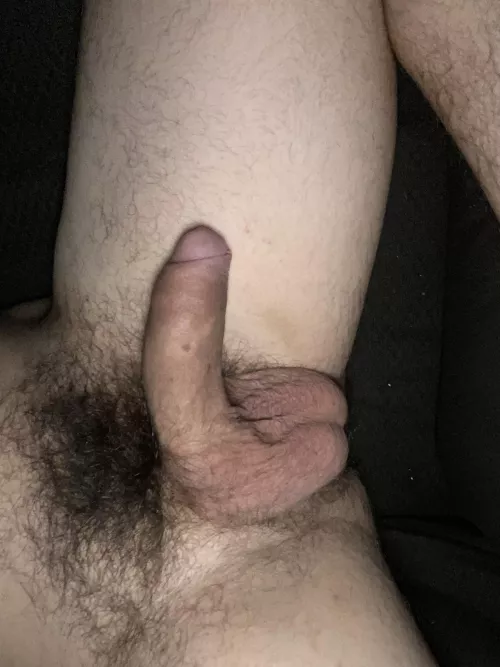 Thick cub by Imagineuncut