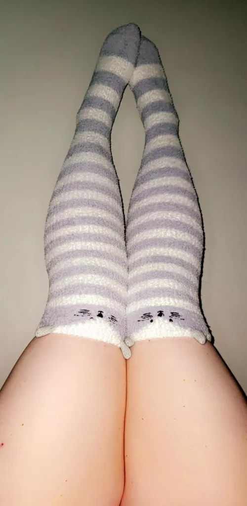 Thick kitty in some kitty socks🐈‍⬛🥀🖤 by foxxcii