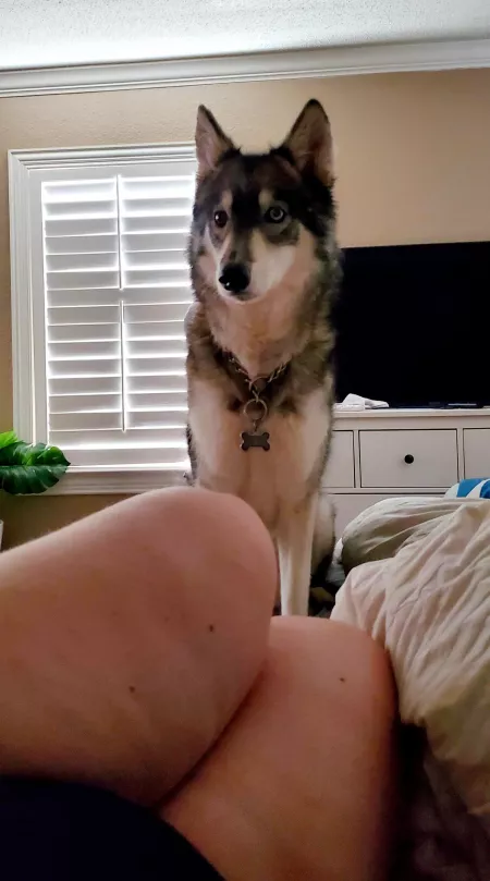 Thick thighs save lives...or so I've heard by gebamami