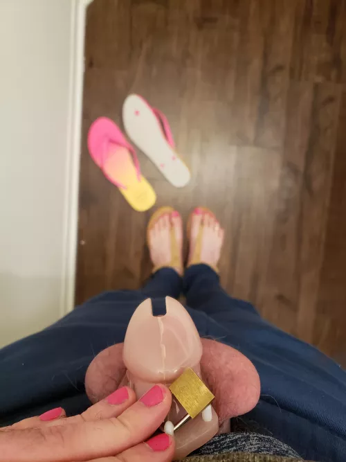 Think I need a smaller cage? by RFLAK