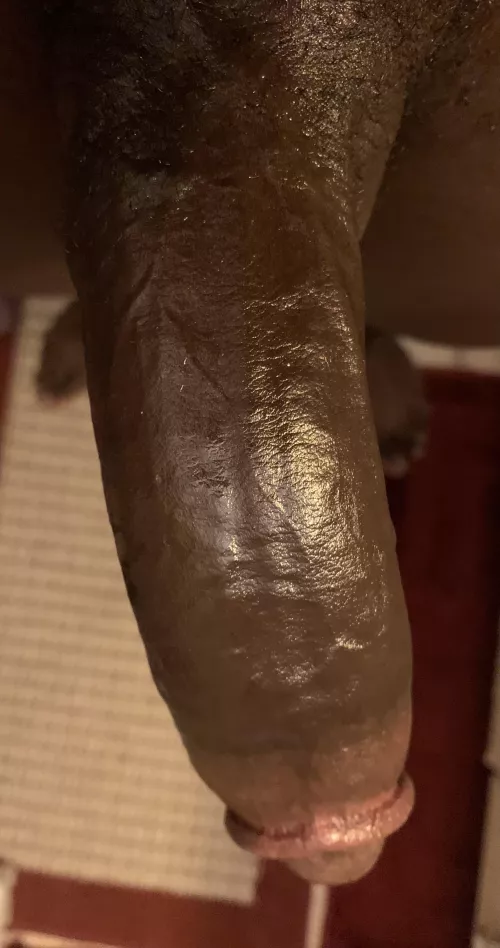 Think this fat dick can fit inside you?- 😏 by Ok-Rock-9442