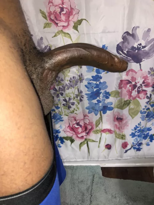 Think you could handle the curve? by Skiparotchi